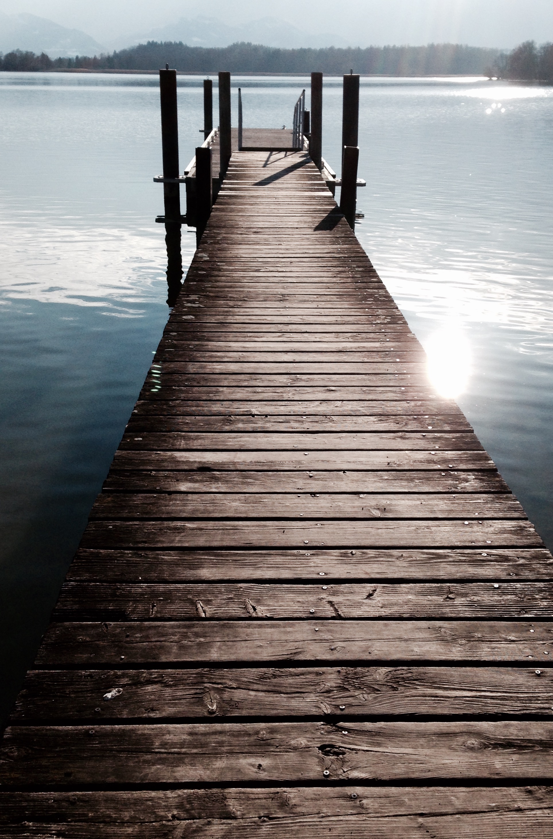 Therapie 2015