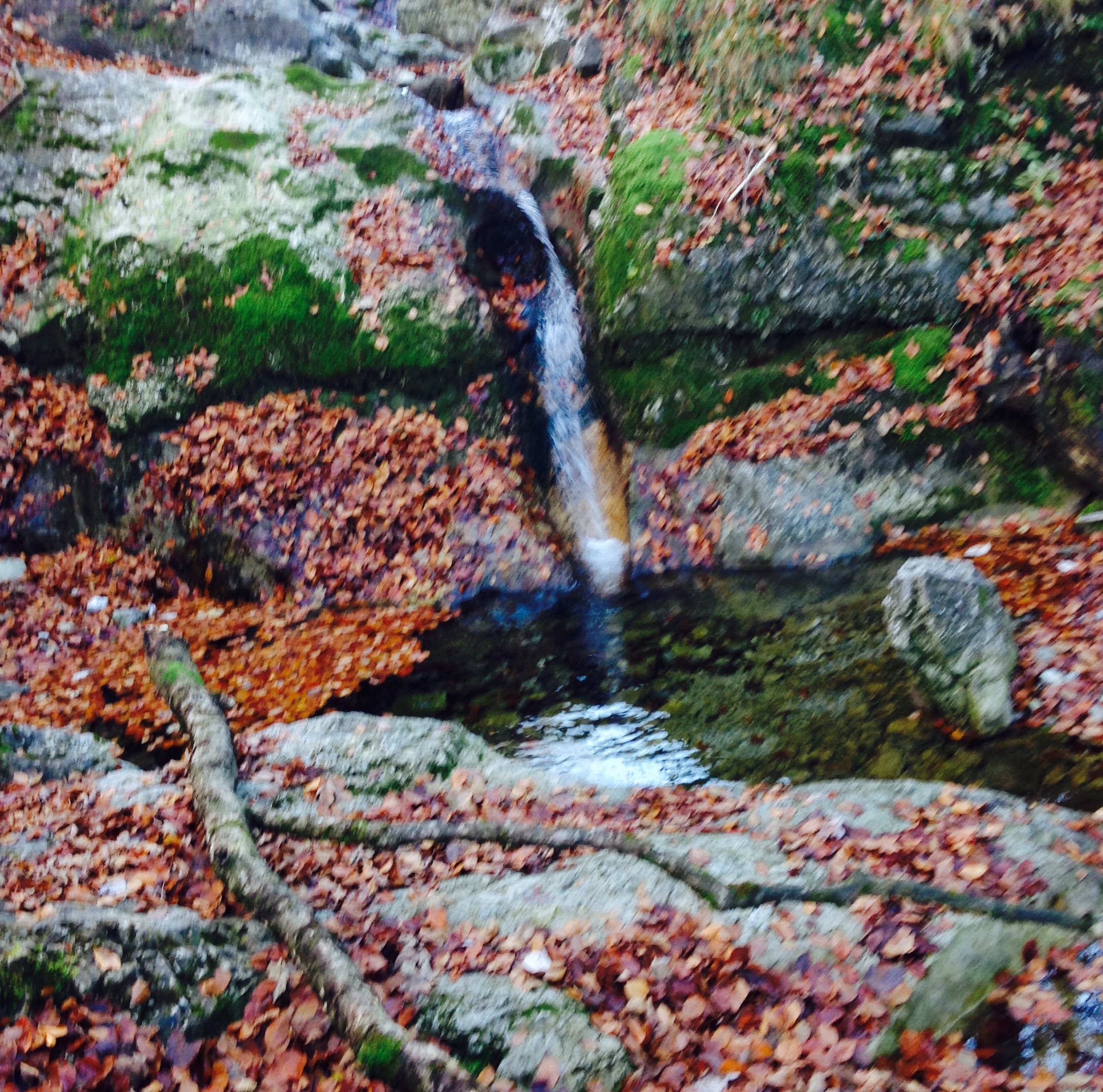 Wasser